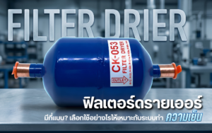 ตู้แช่สแตนเลสCustom vs ตู้แช่สำเร็จรูป
